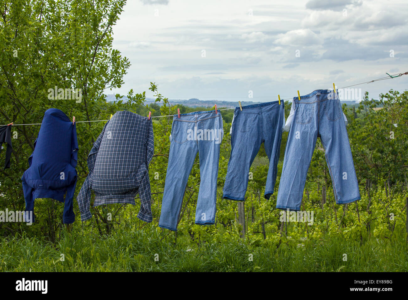 Blue jeans on a clothesline to dry Stock Photo Alamy