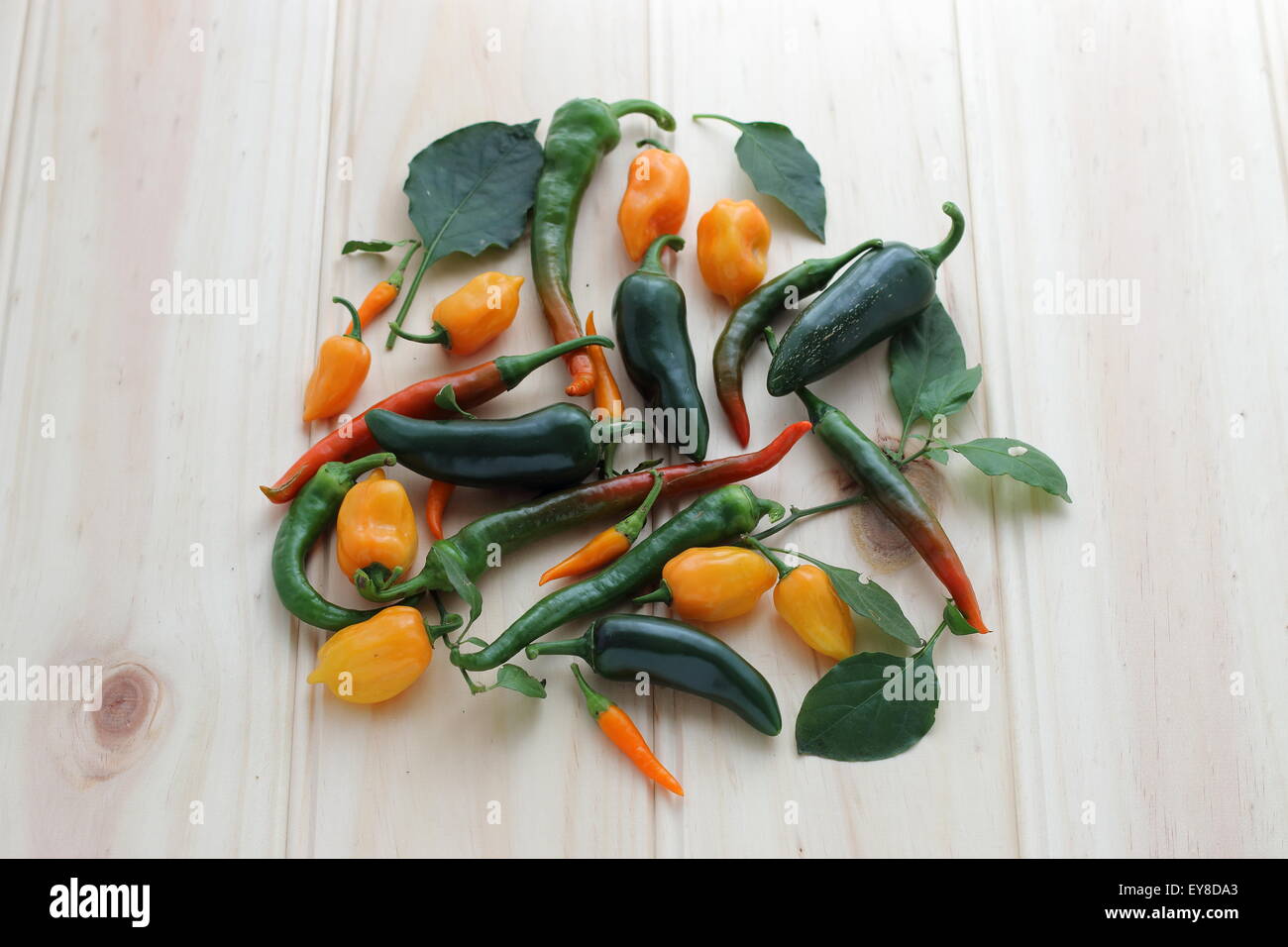 Variety of homegrown chillies on a wooden board Stock Photo