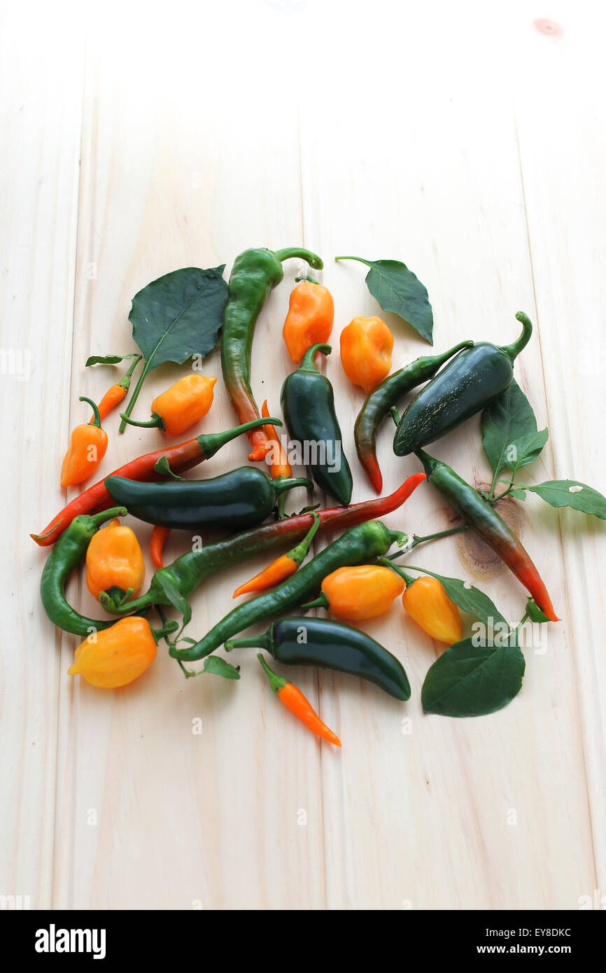 Variety of homegrown chillies on a wooden board Stock Photo