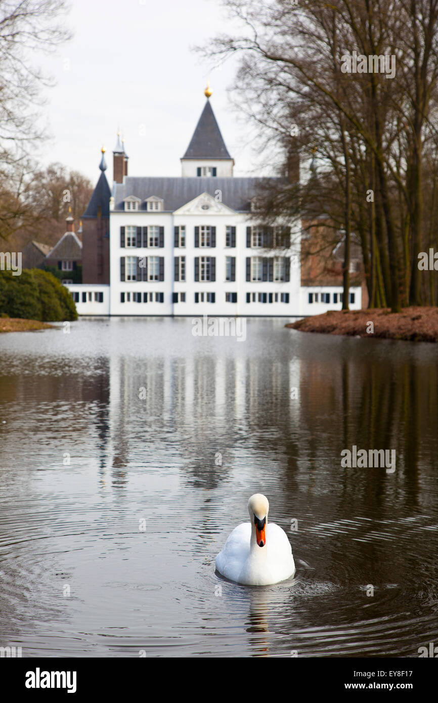 White swan with castle of Renswoude, The Netherlands Stock Photo