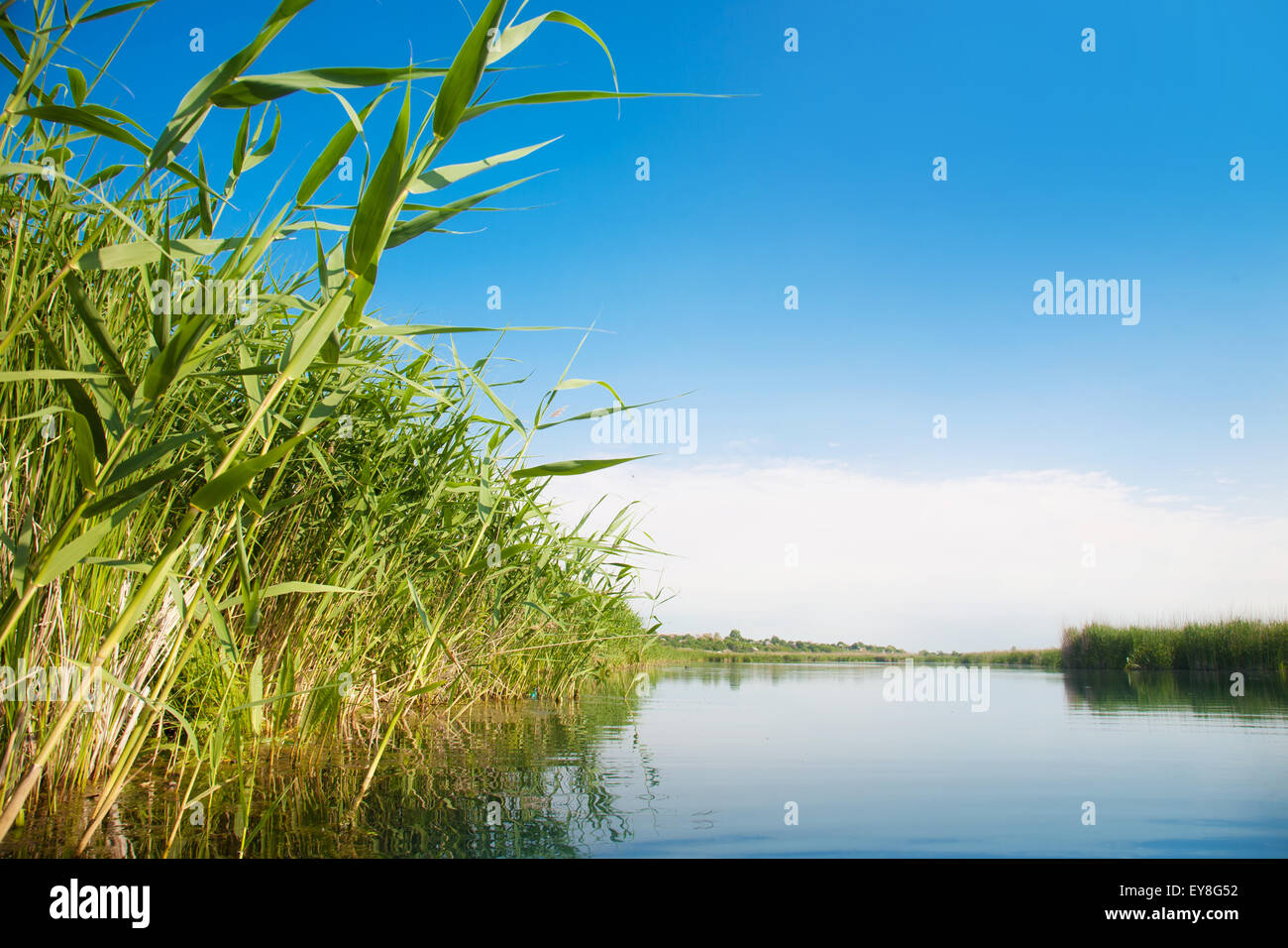River landscape in a summer sunny day Stock Photo - Alamy