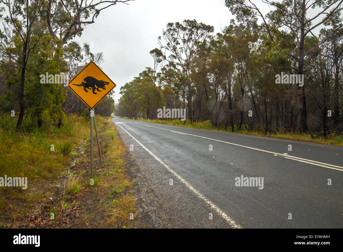 Tasmanian Devil road sign Stock Photo