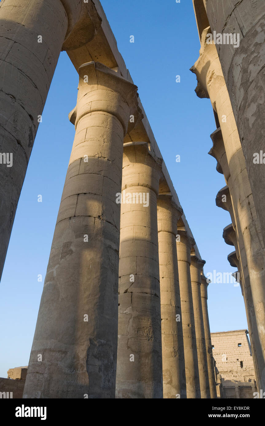 Luxor, Egypt. Temple of Luxor (Ipet resyt): the colonnade of the pharaoh Amenhotep III Stock Photo