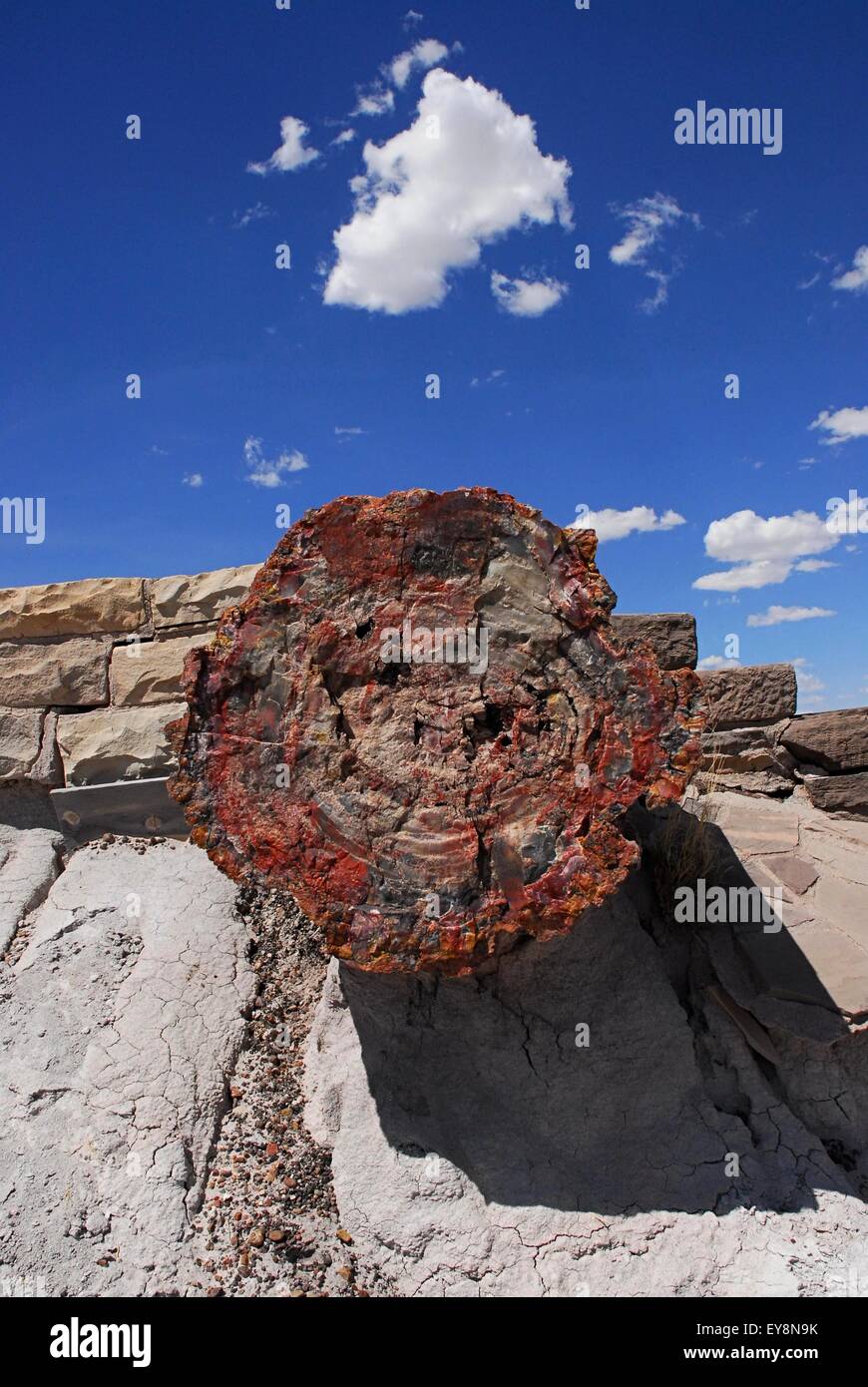 Petrified Wood Log Standing Up Blue Sky Clouds Stock Photo