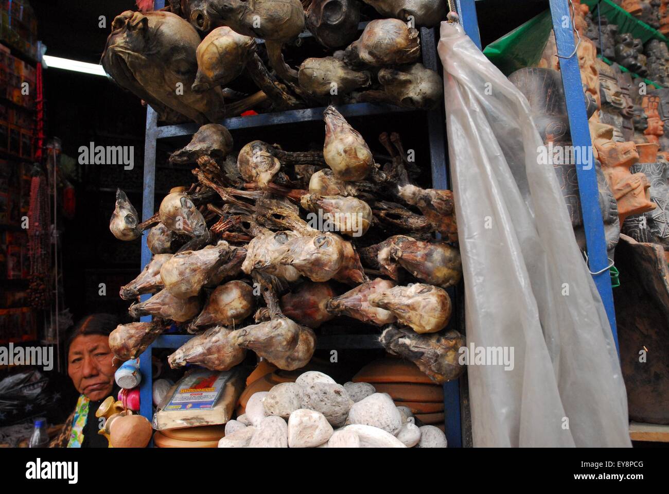 Dried Lama bodies used in traditional magic, Witches Market - La Paz, Bolivia, South America Stock Photo