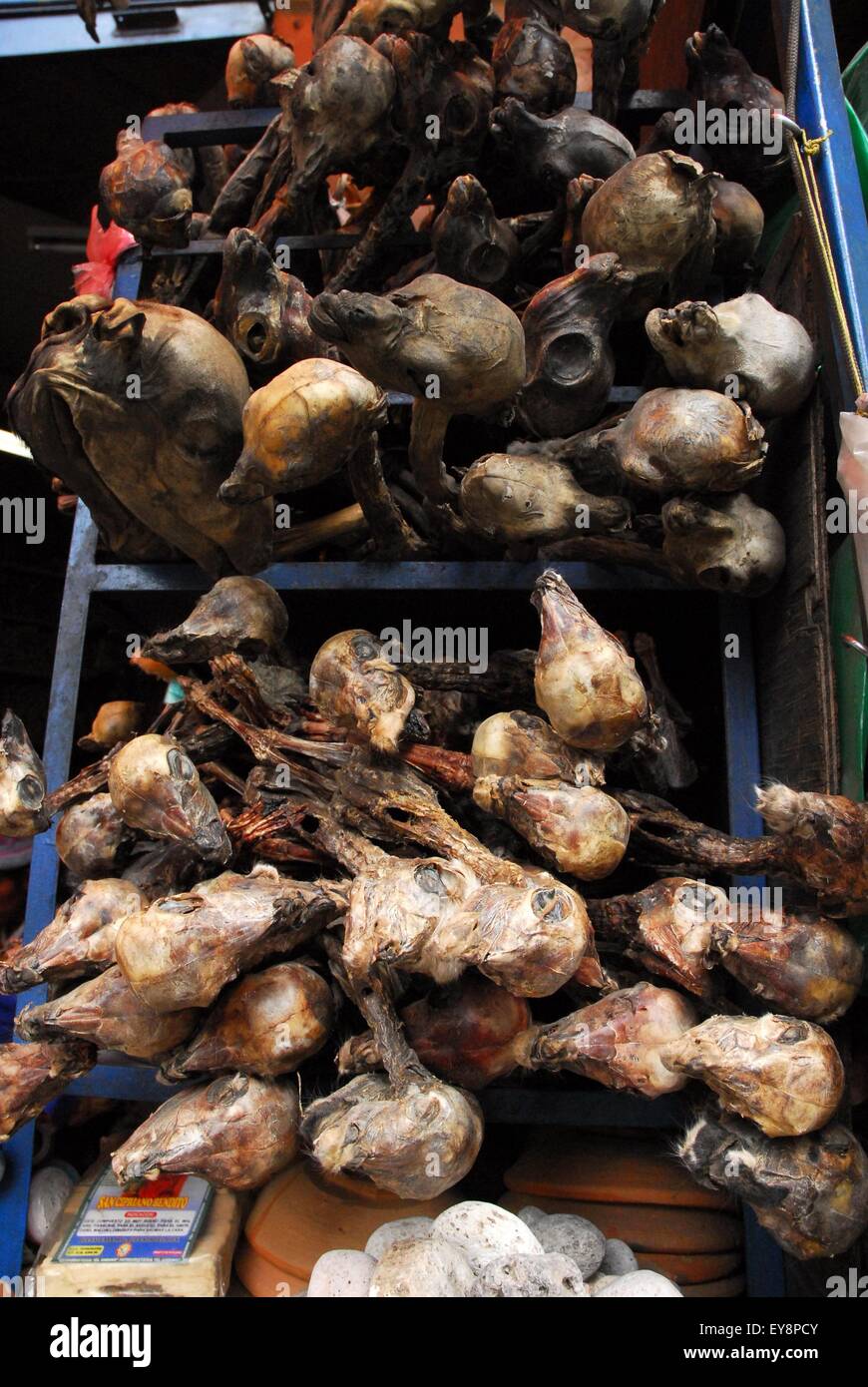 Dried Lama bodies used in traditional magic, Witches Market - La Paz, Bolivia, South America Stock Photo