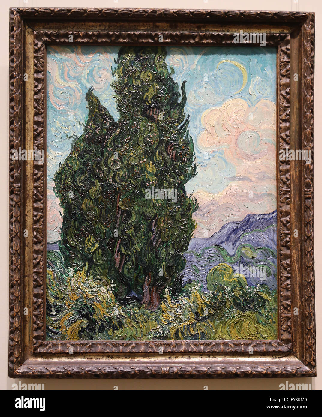 Vincent Van Gogh 1853 10 Dutch Painter Cypresses 18 Oil On Stock Photo Alamy