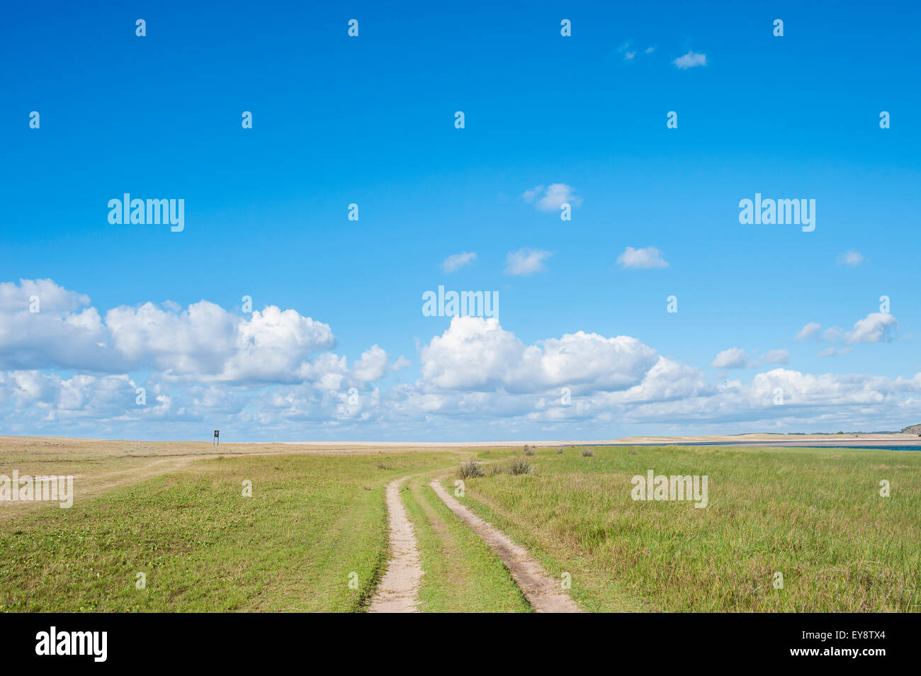 Tire tracks form a dirt road in an expansive grass landscape; Laguna de Rocha, Uruguay Stock Photo