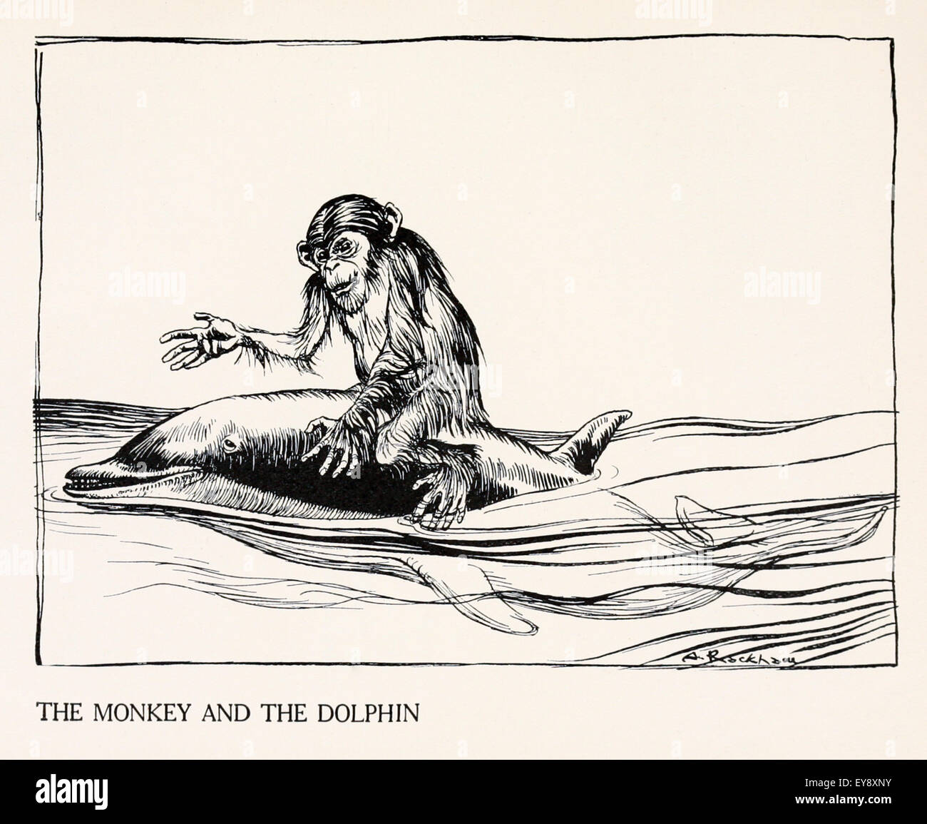 'The Monkey and the Dolphin' fable by Aesop (circa 600BC). Dolphin saves drowning monkey and takes him home to Athens, on the way it becomes clear the monkey is lying so the dolphin swims off.  Bragging, lying, and pretending, has cost many a man his life and estate. Illustration by Arthur Rackham (1867-1939). See description for more information. Stock Photo