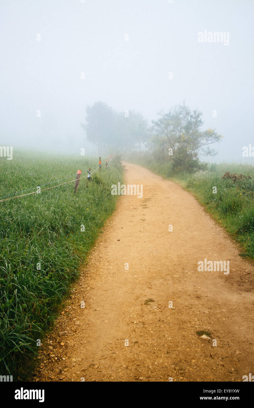 Misty morning trail on the Camino De Santiago. Stock Photo