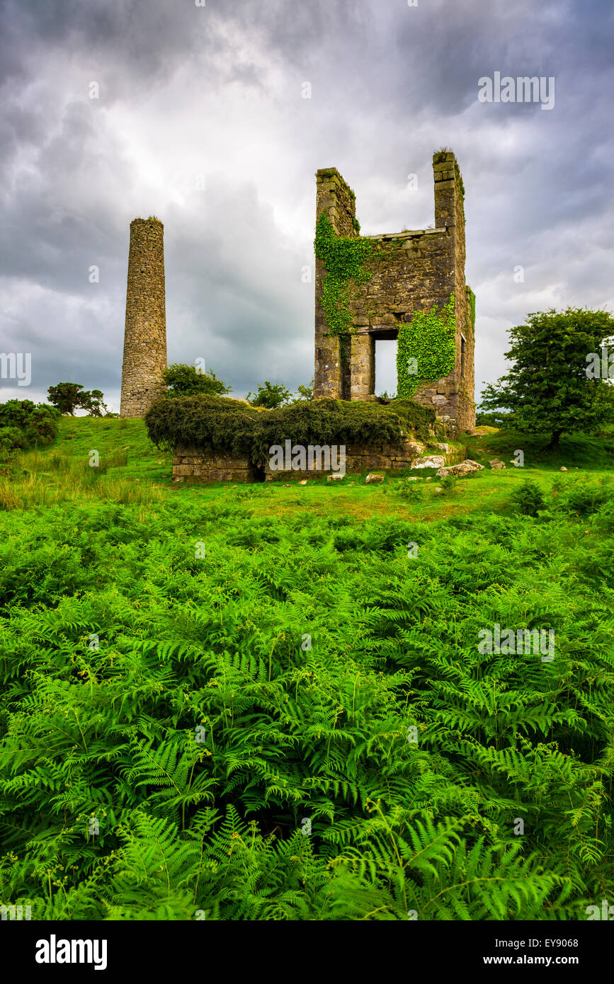 Engine House at Wheal Jenkin mine on Bodmin Moor at Minions, Cornwall, England Stock Photo