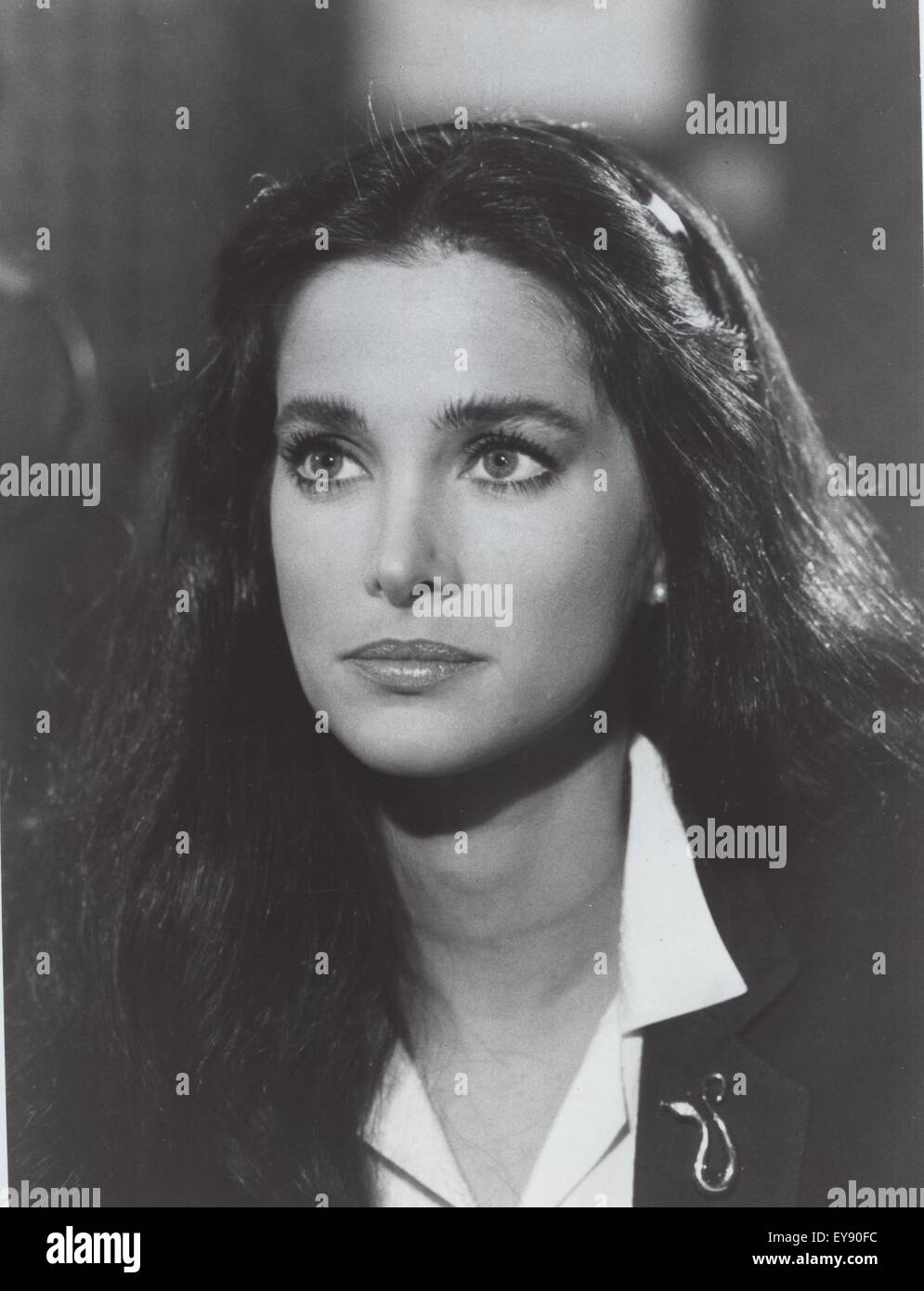 Connie sellecca hires stock photography and images Alamy