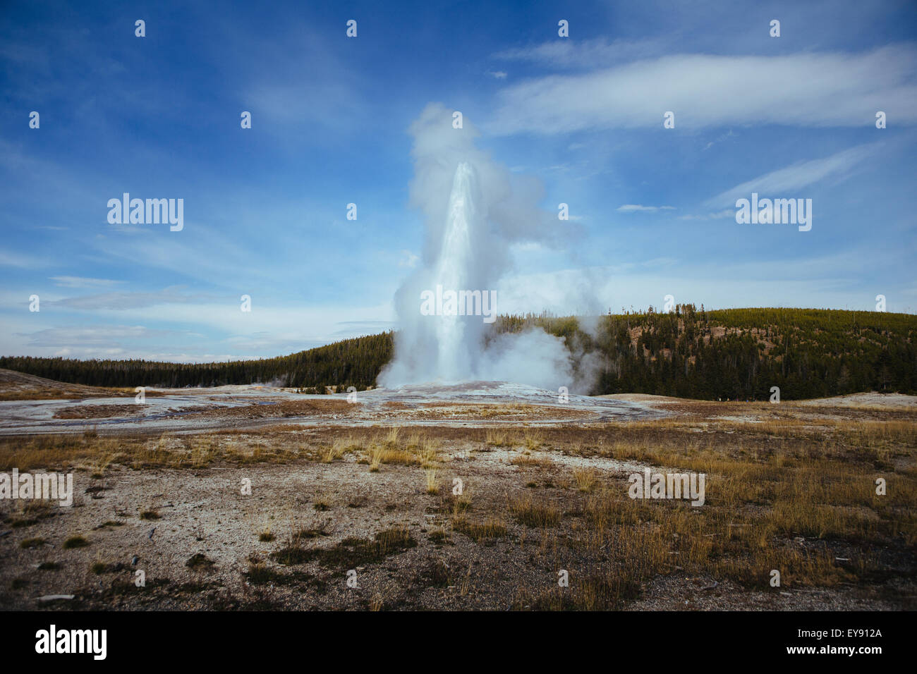 Old Faithful geyser in Yellowstone National Park. Stock Photo