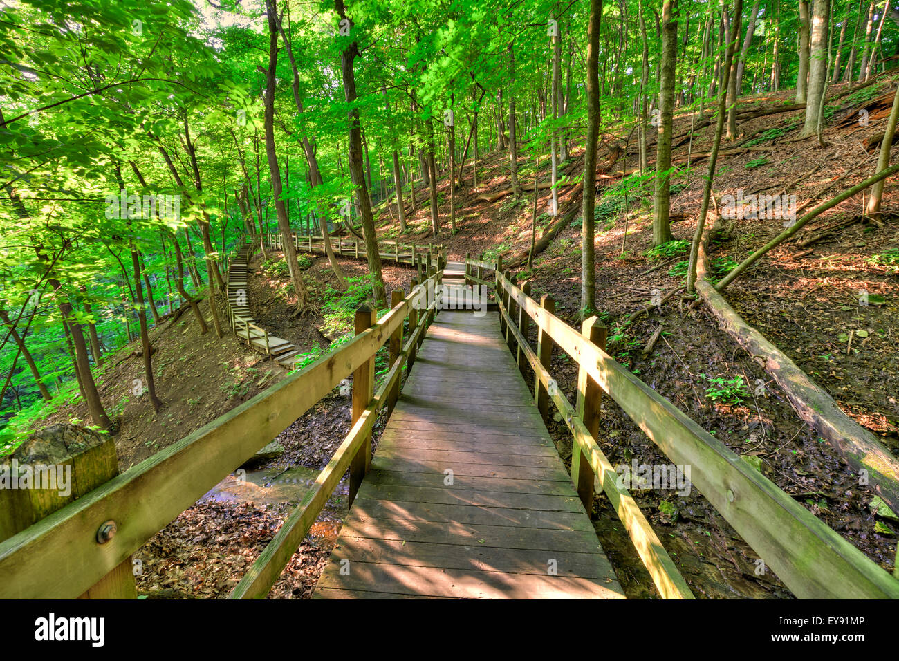 Wooden walkway to Bridal Veil Falls at Pikes Peak State Park, near