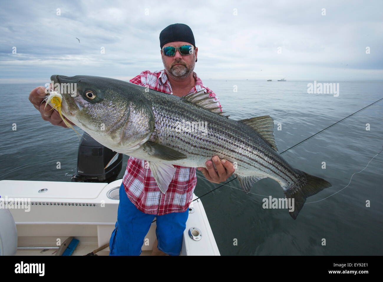 Fisherman holding striper fish in the Boston harbour; Boston