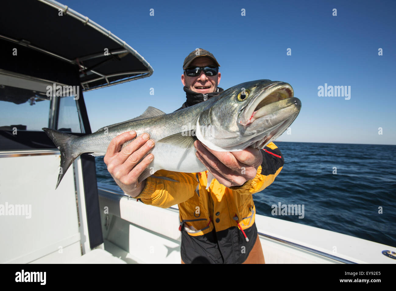 Fisherman holds fresh catch with pride; Montauk, New York, United States of America Stock Photo