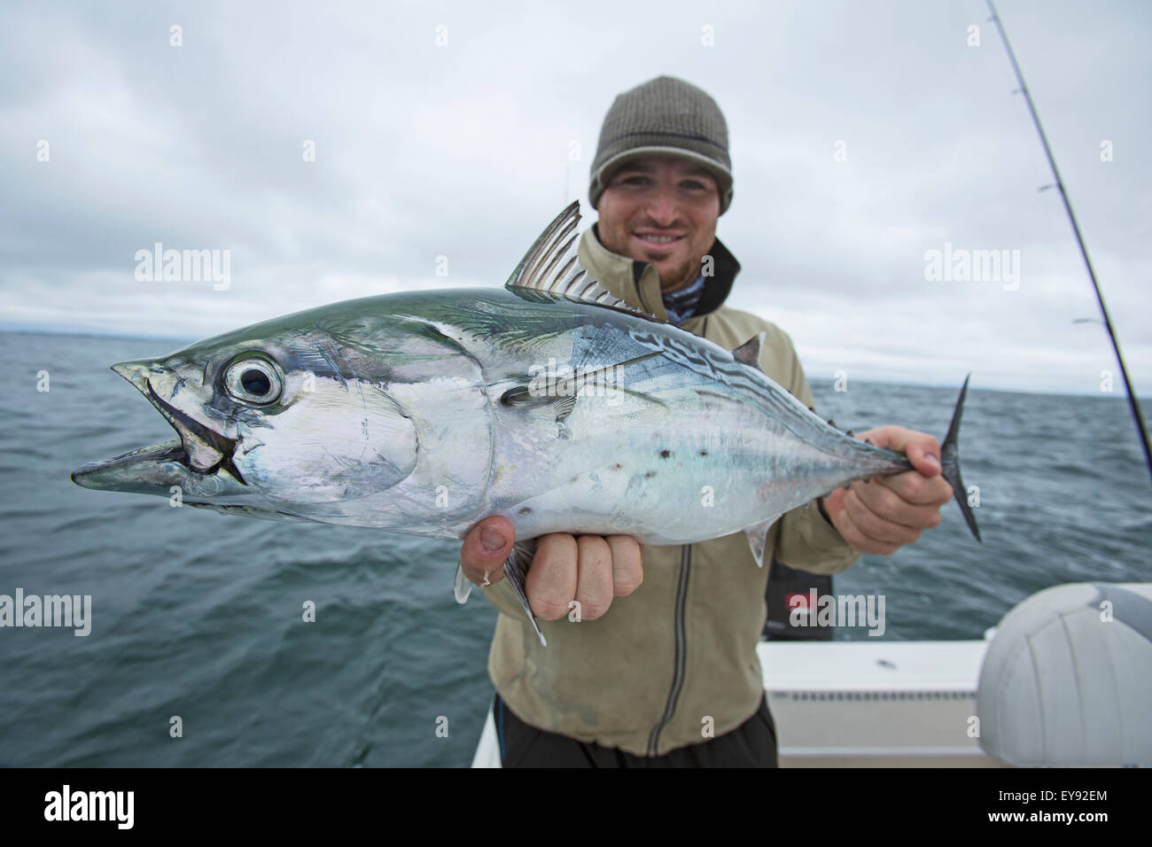 Fisherman holding false albacor; Cape Cod, Massachusetts, United States of America Stock Photo
