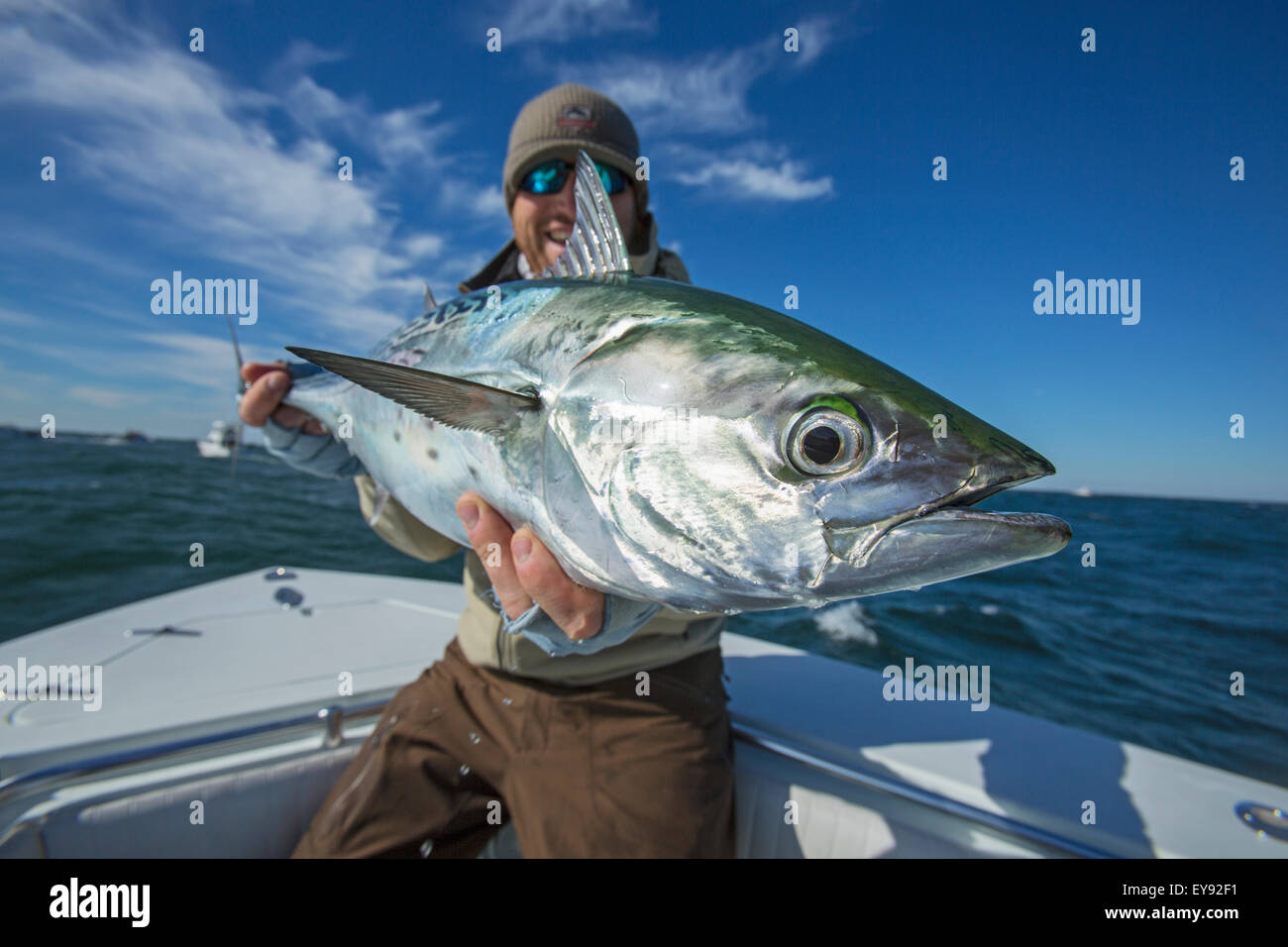 Fisherman holding false albacor; Cape Cod, Massachusetts, United States of America Stock Photo