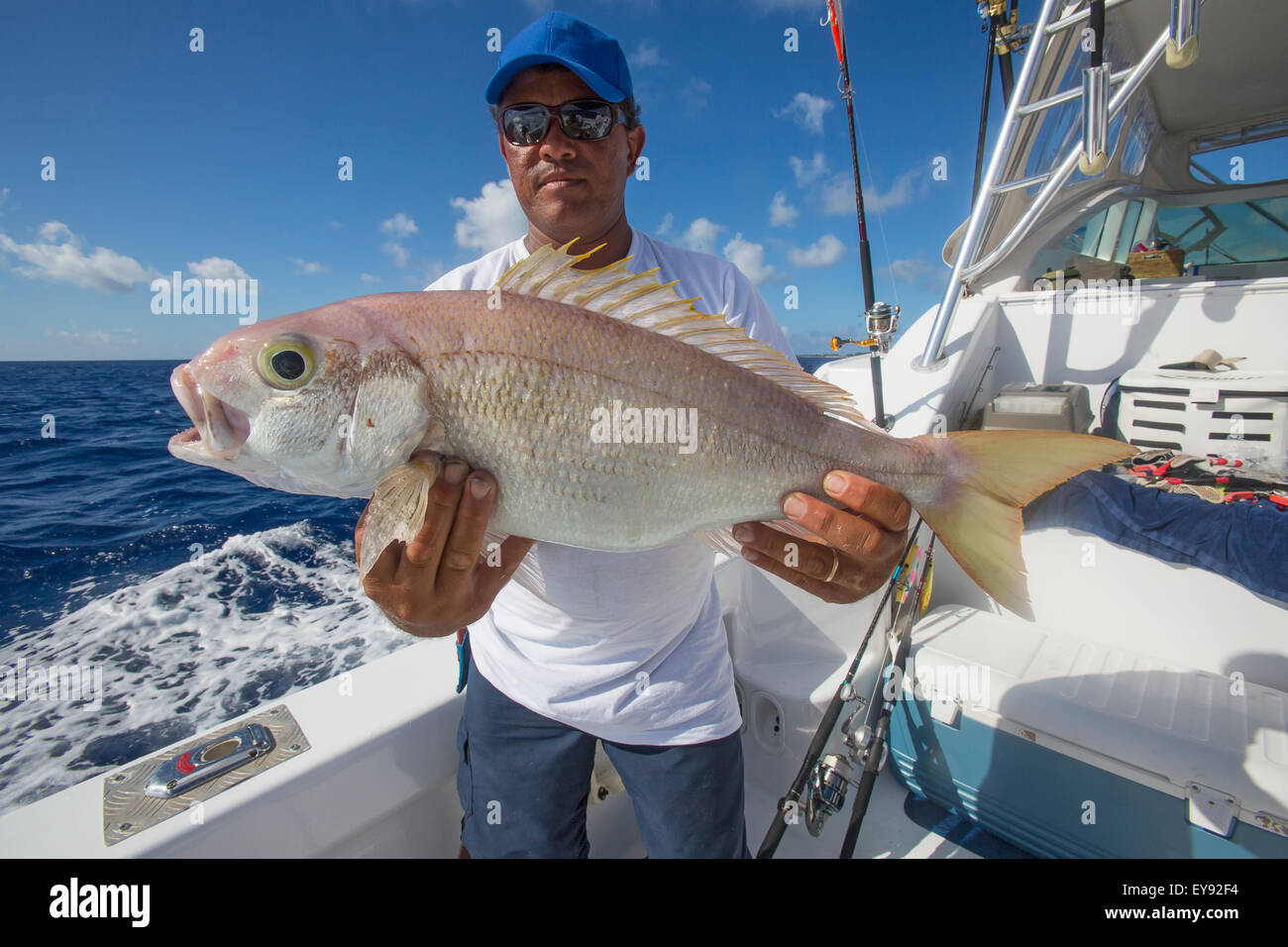 Fisherman holds pink fish caught from deep sea fishing; Tahiti Stock Photo  - Alamy