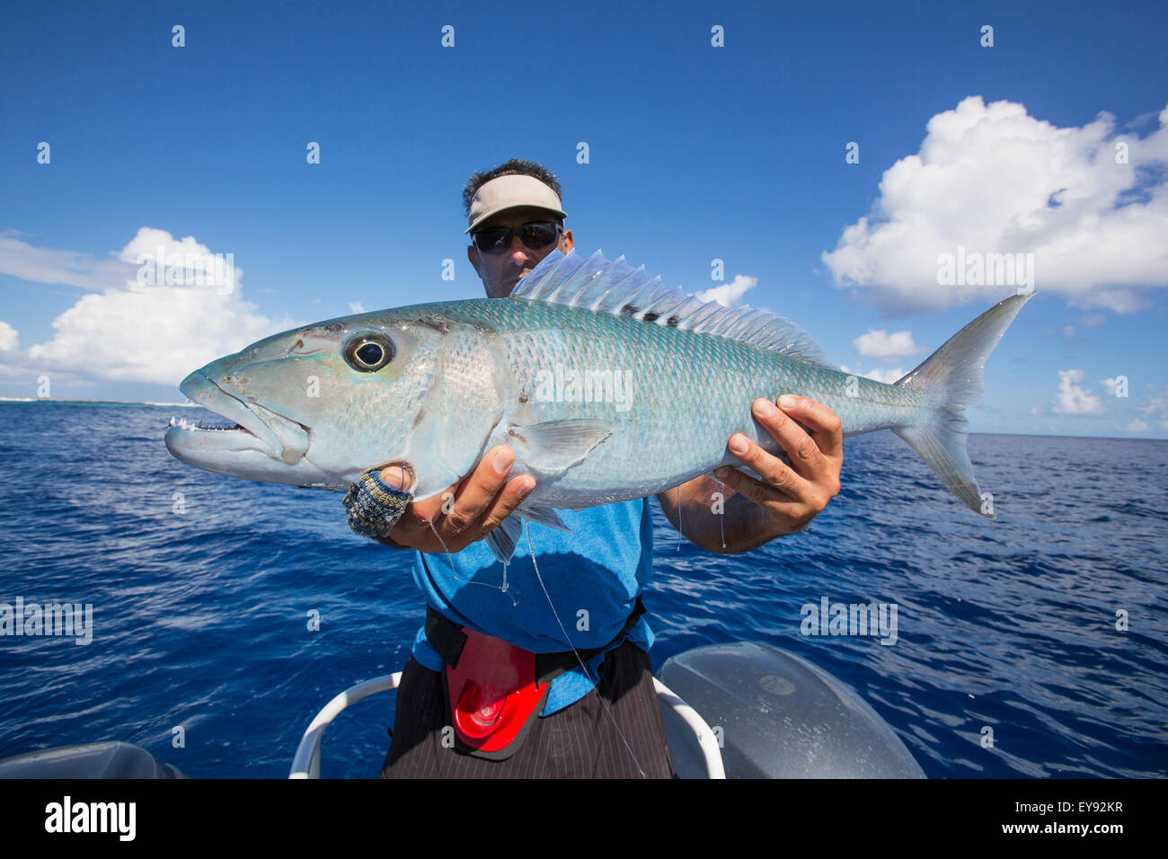 Fisherman holding fresh caught Jobfish; Tahiti Stock Photo