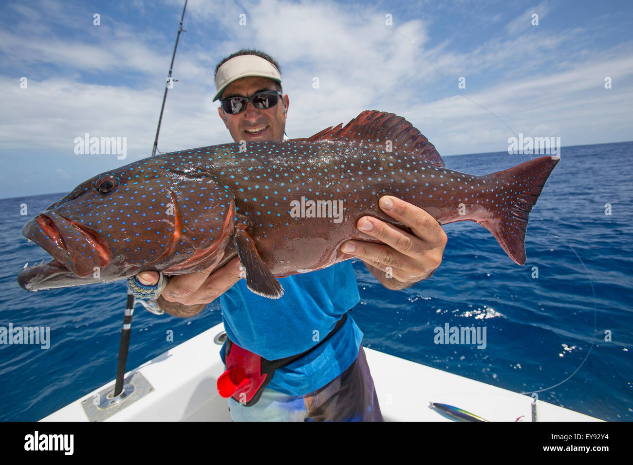 Fisherman holding a fresh caught Grouper (Epinephelinae); Tahiti Stock Photo