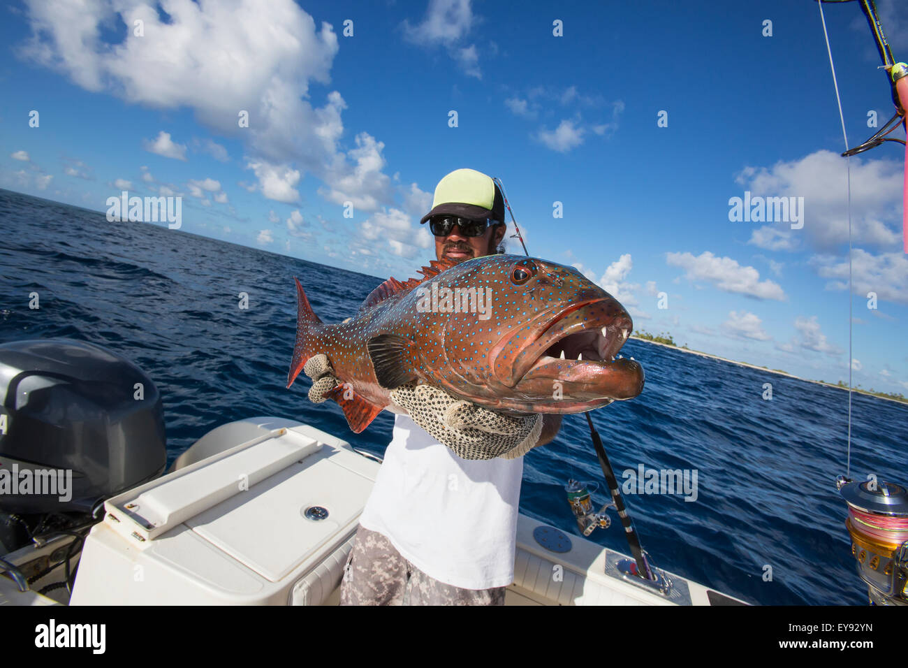 Fisherman holding a fresh caught Grouper; Tahiti Stock Photo Alamy