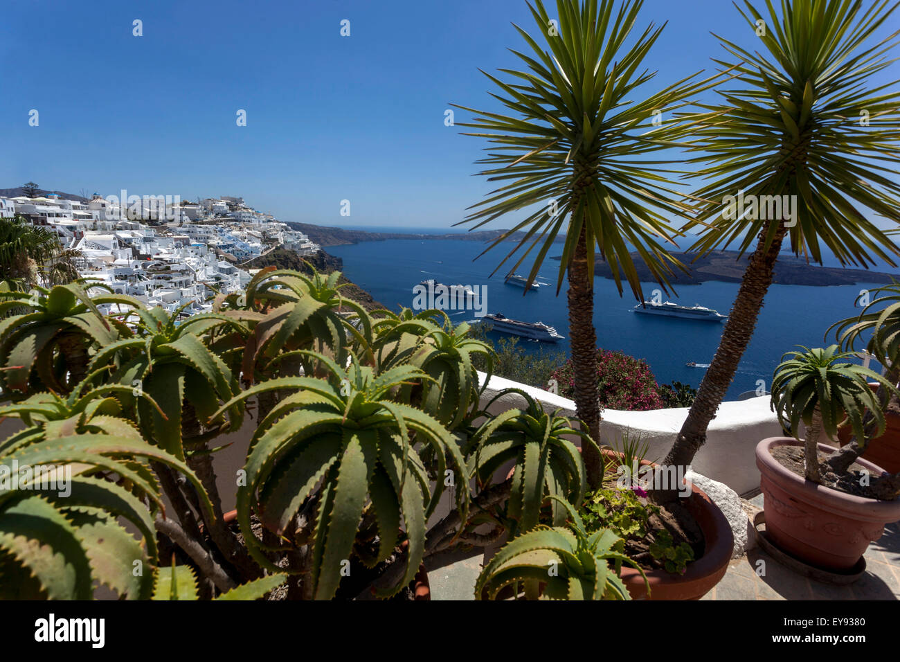 Yucca aloifolia and aloe in pots, Terrace, Santorini Caldera, Cyclades Islands, Greece plant Stock Photo