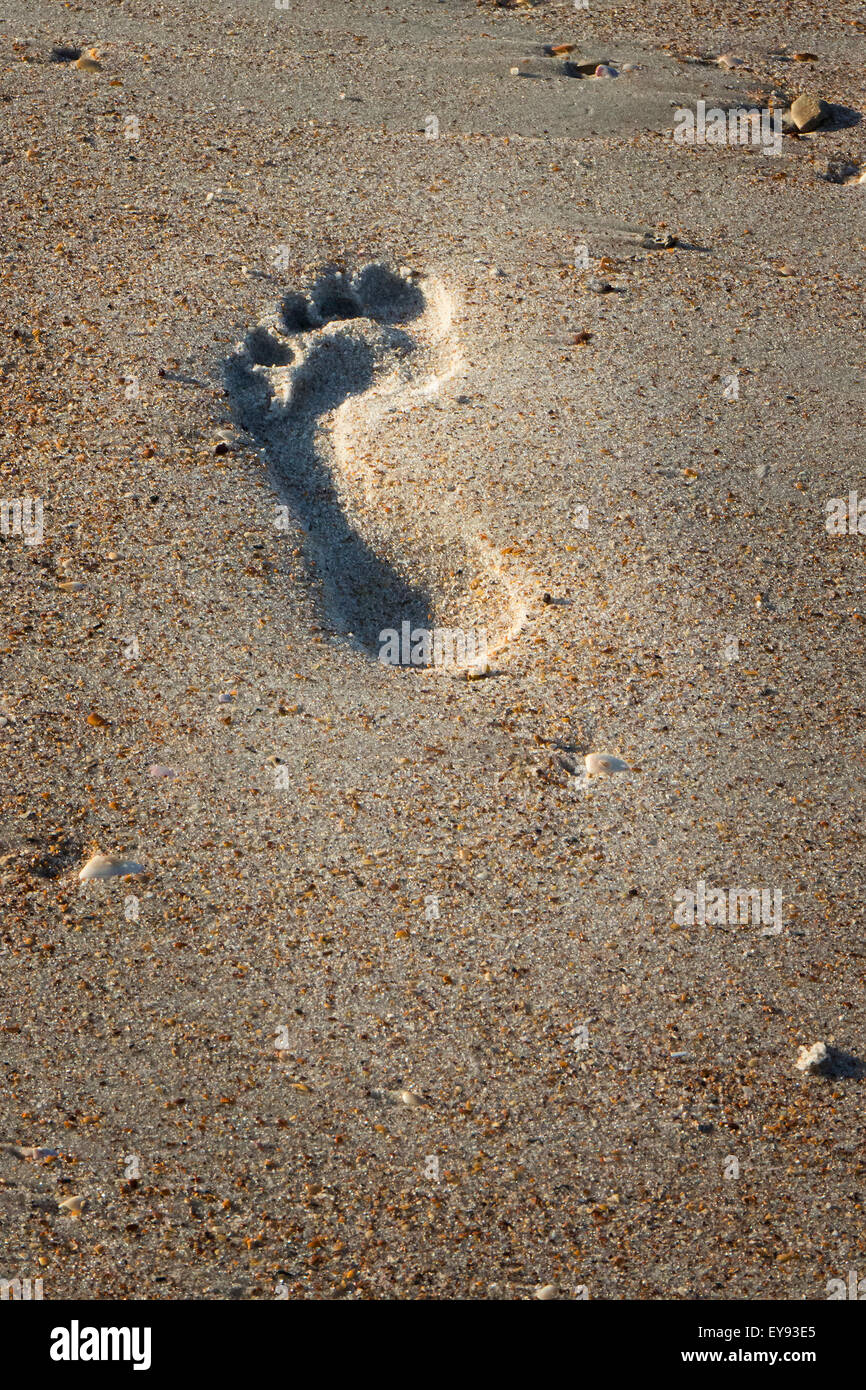 One footprint in the sand; United States of America Stock Photo Alamy