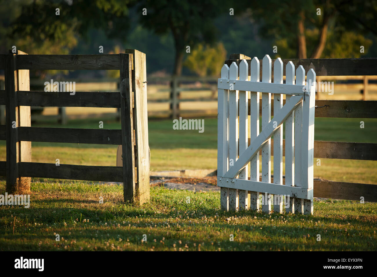Picket gate hi-res stock photography and images - Alamy