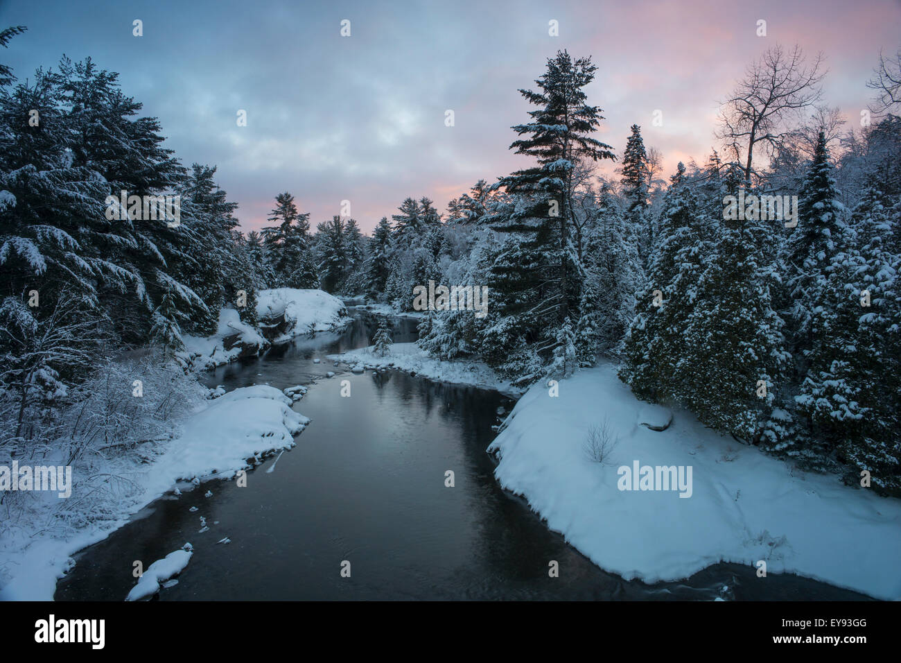 River with snow covered evergreens at sunset; Ontario, Canada Stock Photo