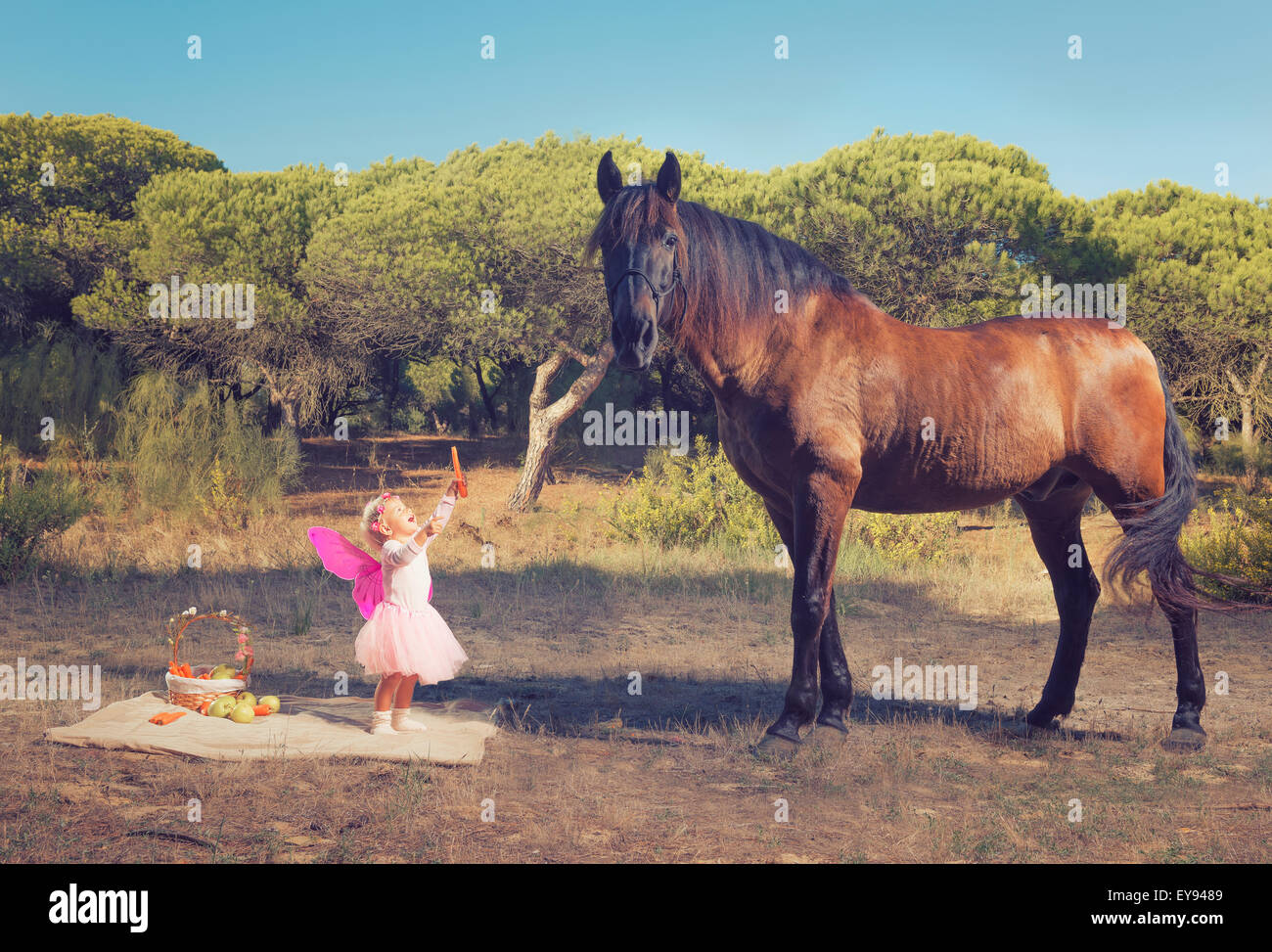 Young girl with pink ferry wings and a brown horse; Tarifa, Cadiz, Andalusia, Spain Stock Photo