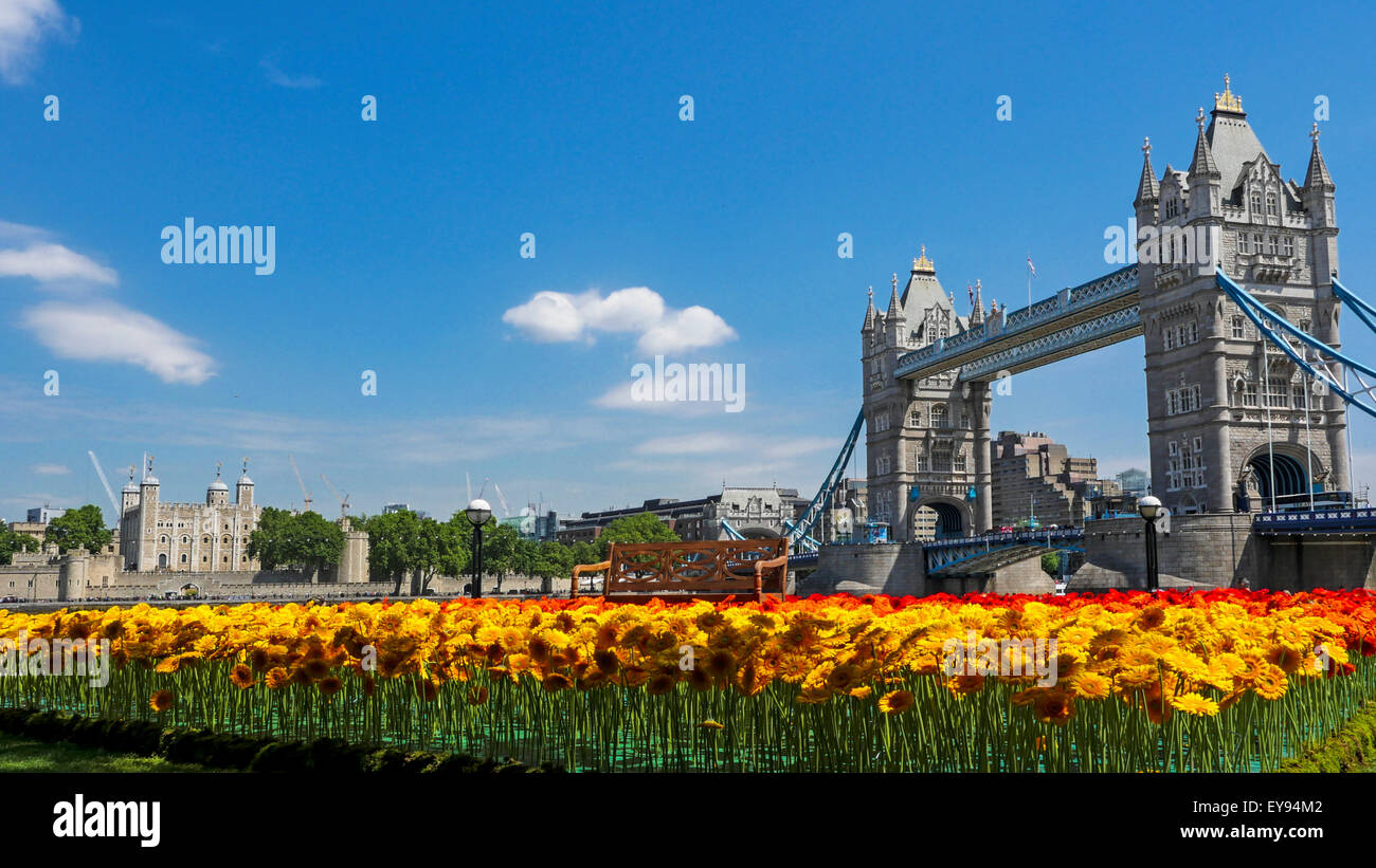 Tower Bridge in London on a nice summer day with gerberas in front Stock Photo