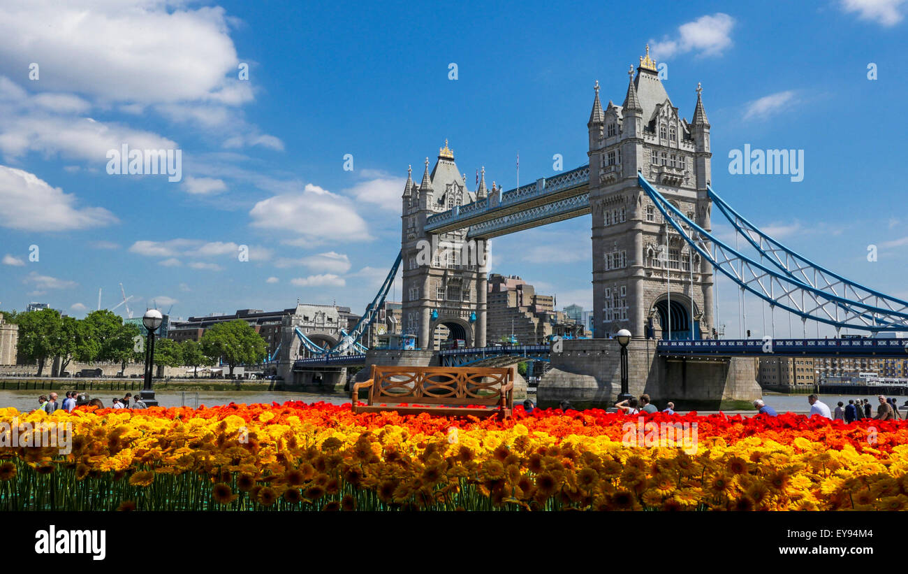 Tower Bridge in London on a nice summer day with gerberas in front Stock Photo