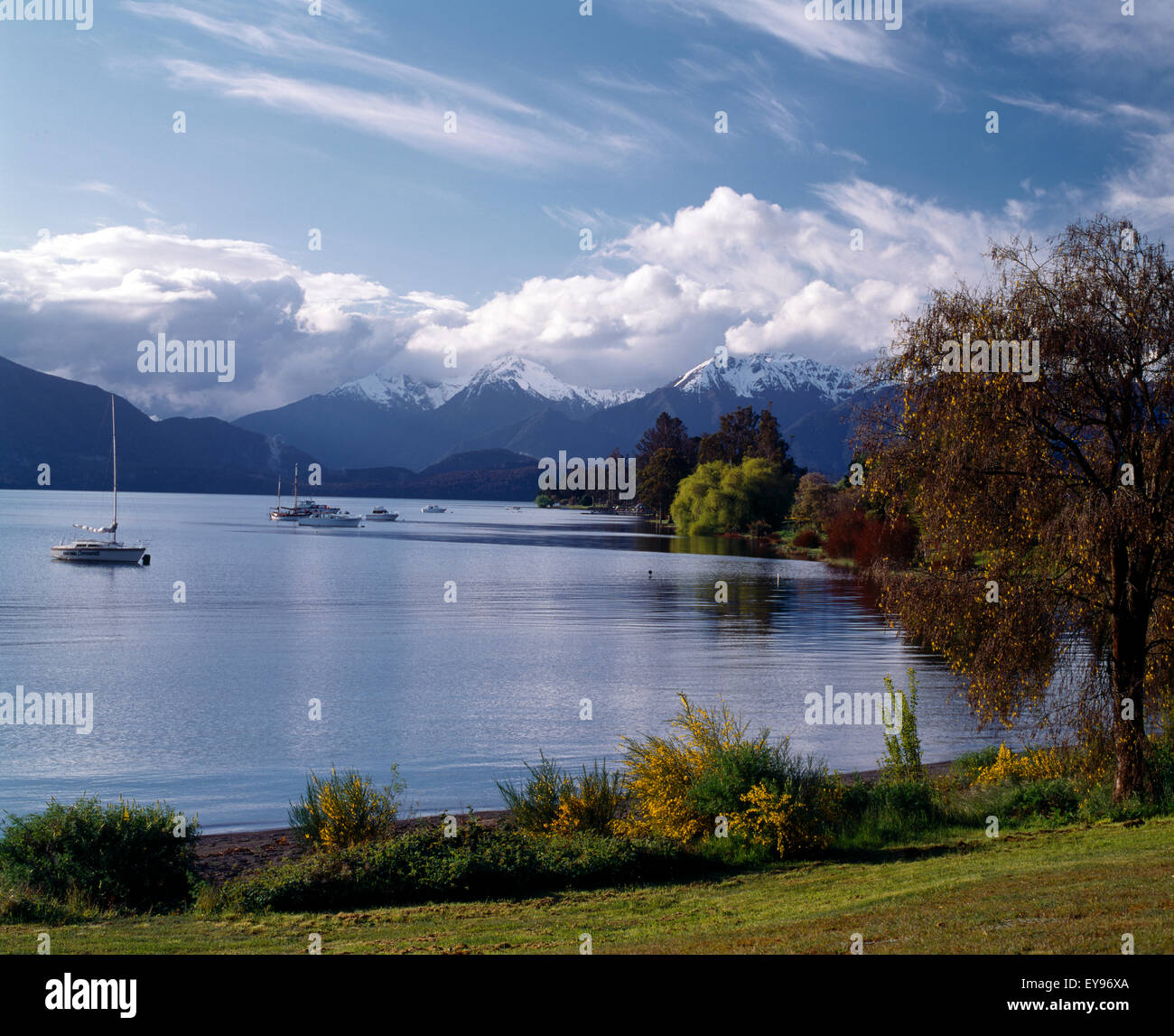 Fiordland New Zealand Lake Te Anau Waterfront Murchison Mountains Stock Photo