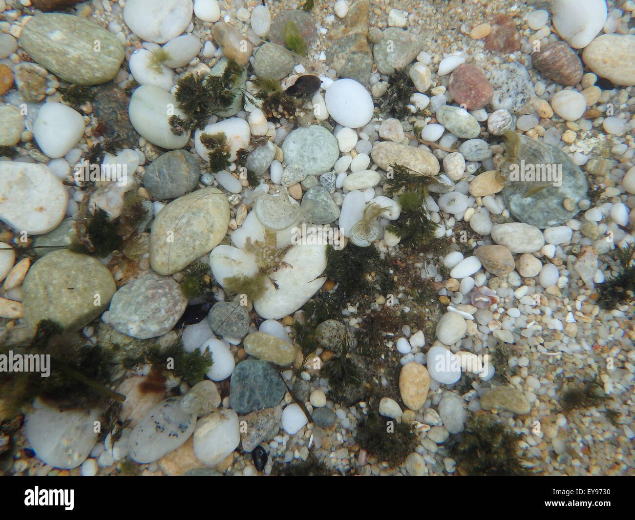 Underwater photography,sea below the surface in shallow and deep waters. Stock Photo