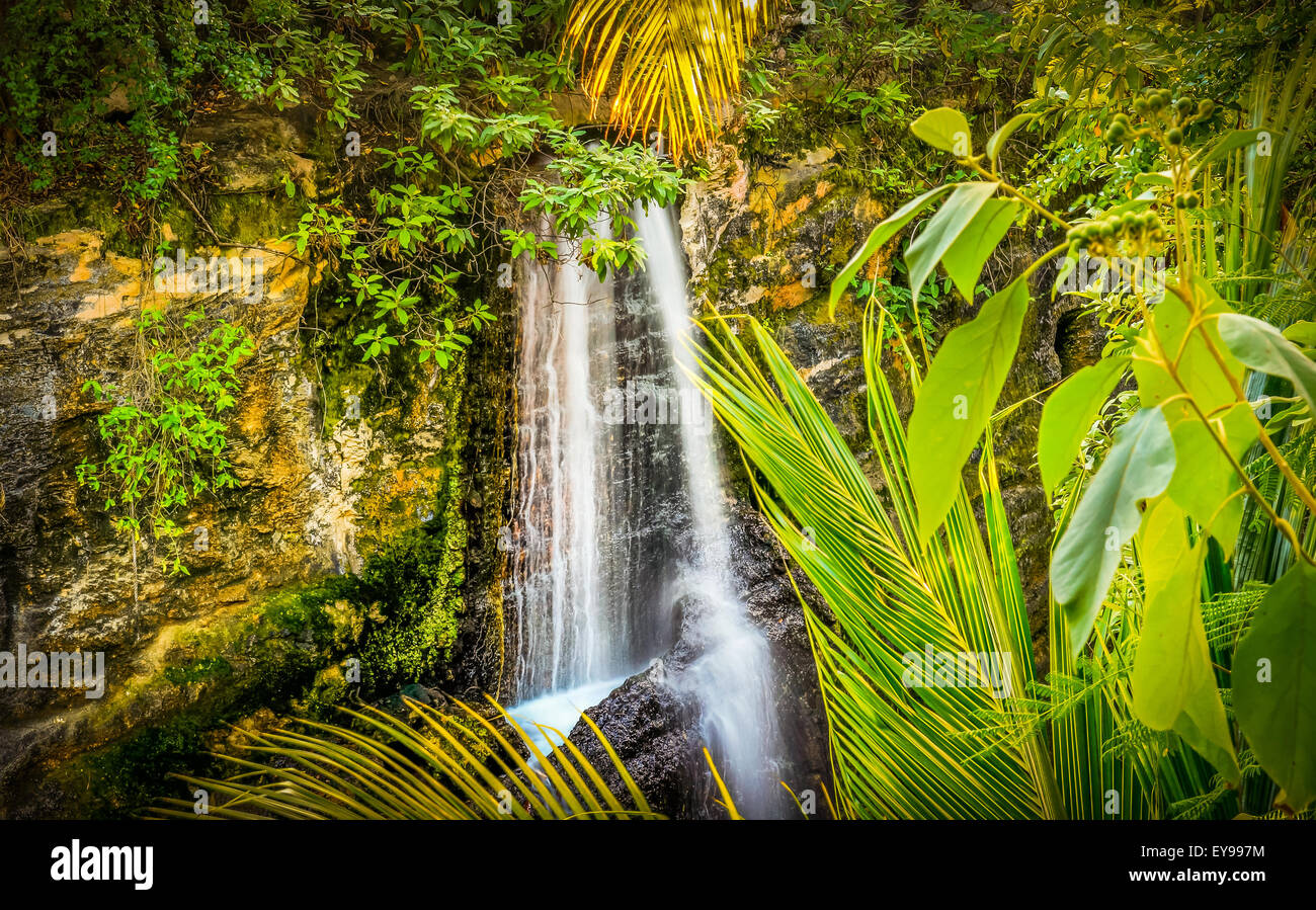 Waterfall in a tropical jungle somewhere in Mexico Stock Photo