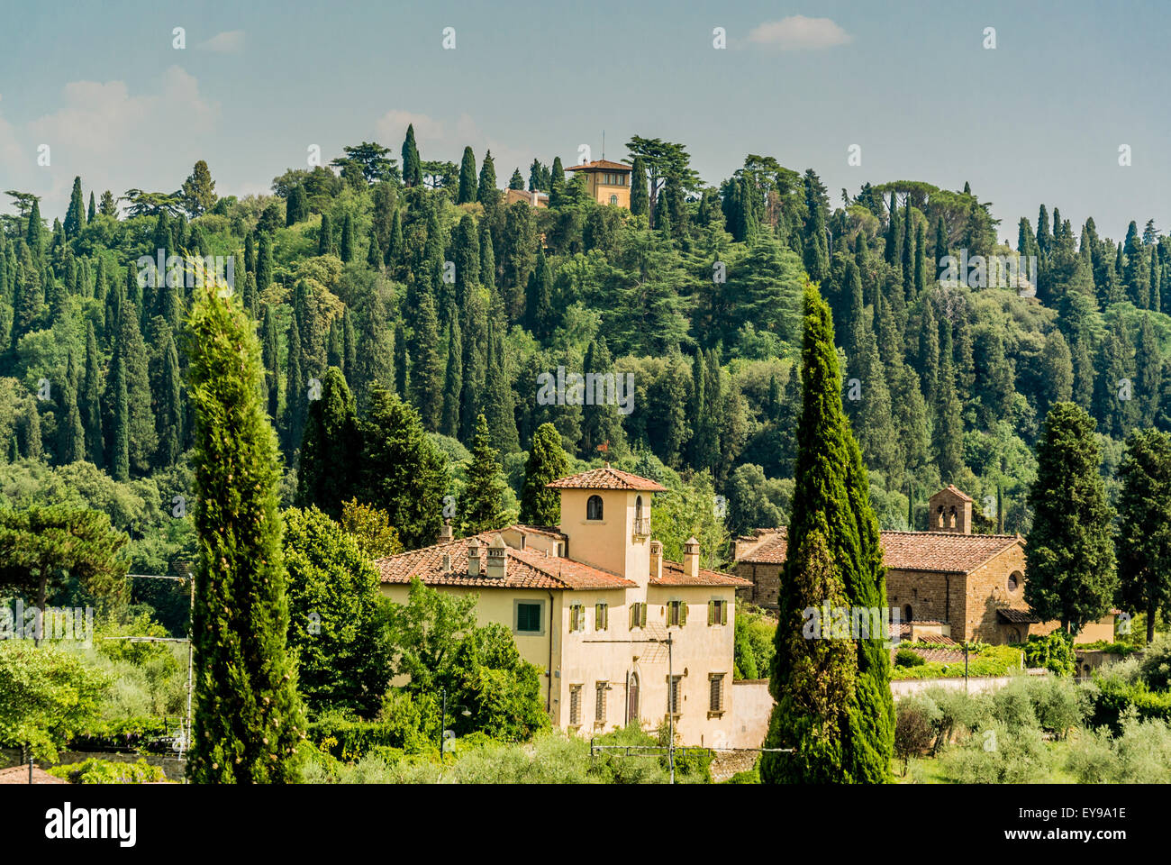 Isolated houses and Cypress trees on the outskirts of Florence. Tuscany, Italy. Stock Photo