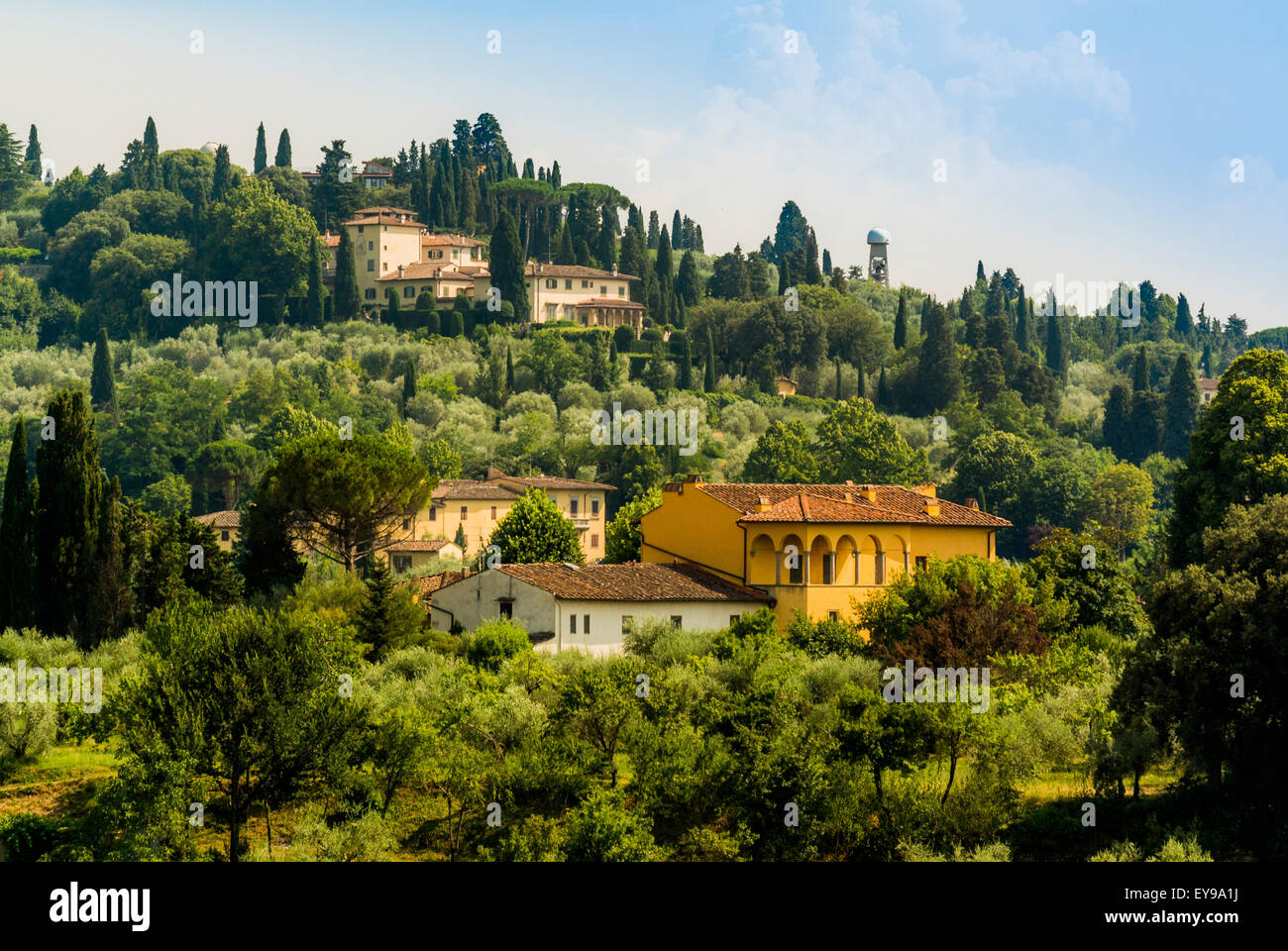 Hillside properties on the outskirts of Florence. Tuscany, Italy. Stock Photo