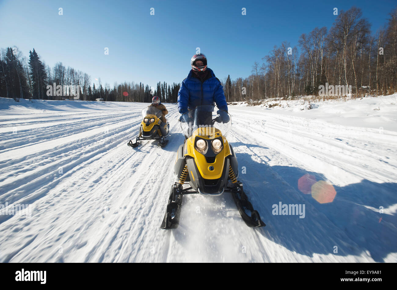 Iron dog adventure hires stock photography and images Alamy