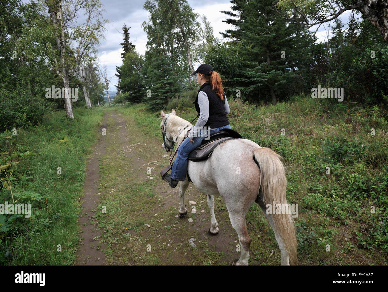 Trail guide leads the way in Far North Bicennentenial Park, Anchorage, Southcentral Alaska