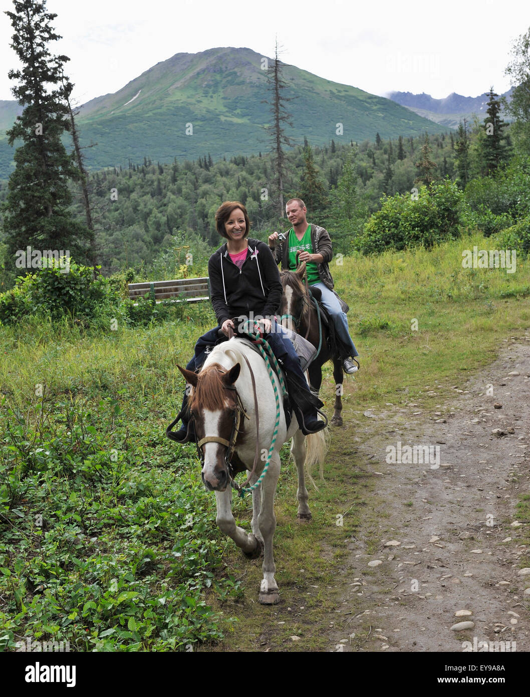 Horse trekkin alaska hires stock photography and images Alamy
