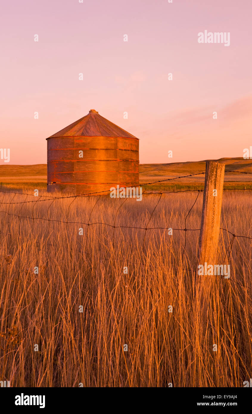 Abandoned Grain Bin; Thunder Creek, Saskatchewan, Canada Stock Photo