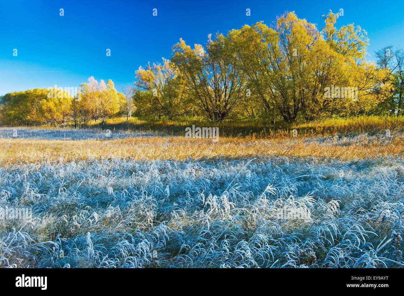 Oakbank hires stock photography and images Alamy