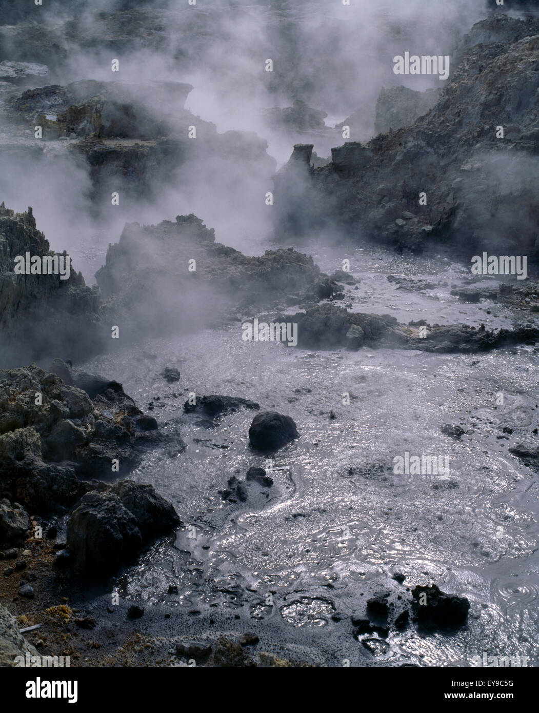 Rotorua New Zealand Tikitere (hells Gate) Hot Mud Stock Photo