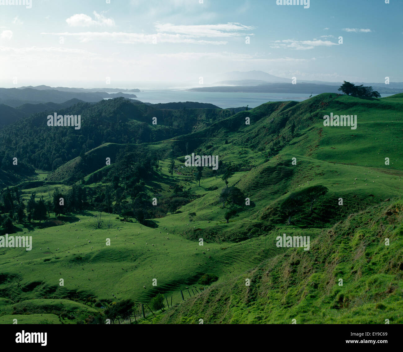 Waikato New Zealand Kawhia Harbour Entrance Stock Photo