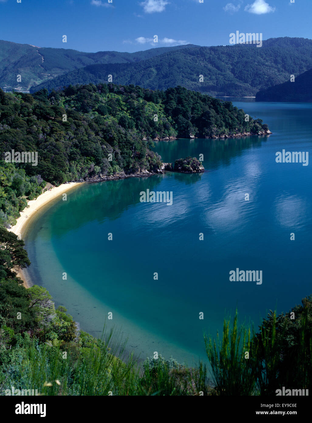 Marlborough New Zealand Grove Arm Queen Charlotte Sound Stock Photo