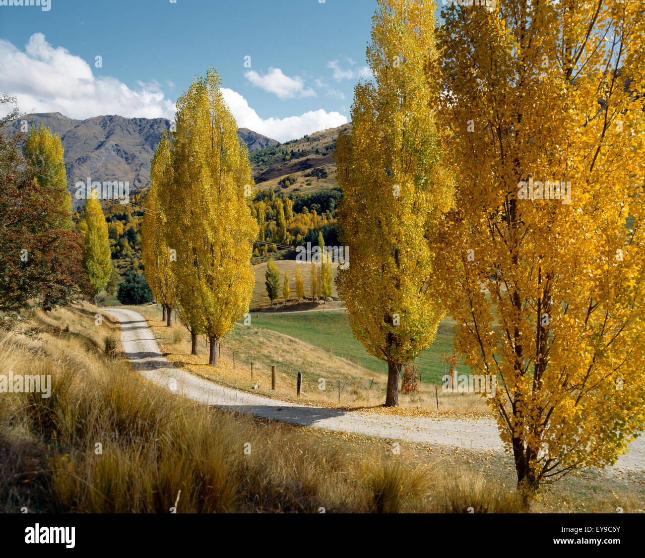 Queenstown New Zealand Autumn Road Stock Photo