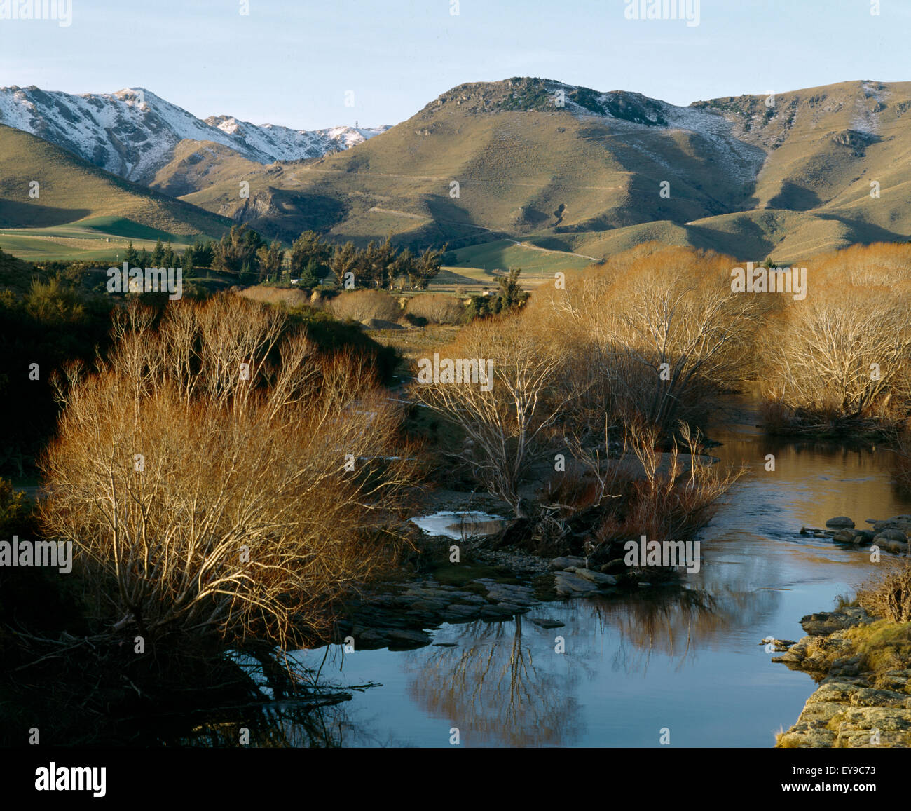 Otago New Zealand Stream in Shag Valley in Winter Stock Photo