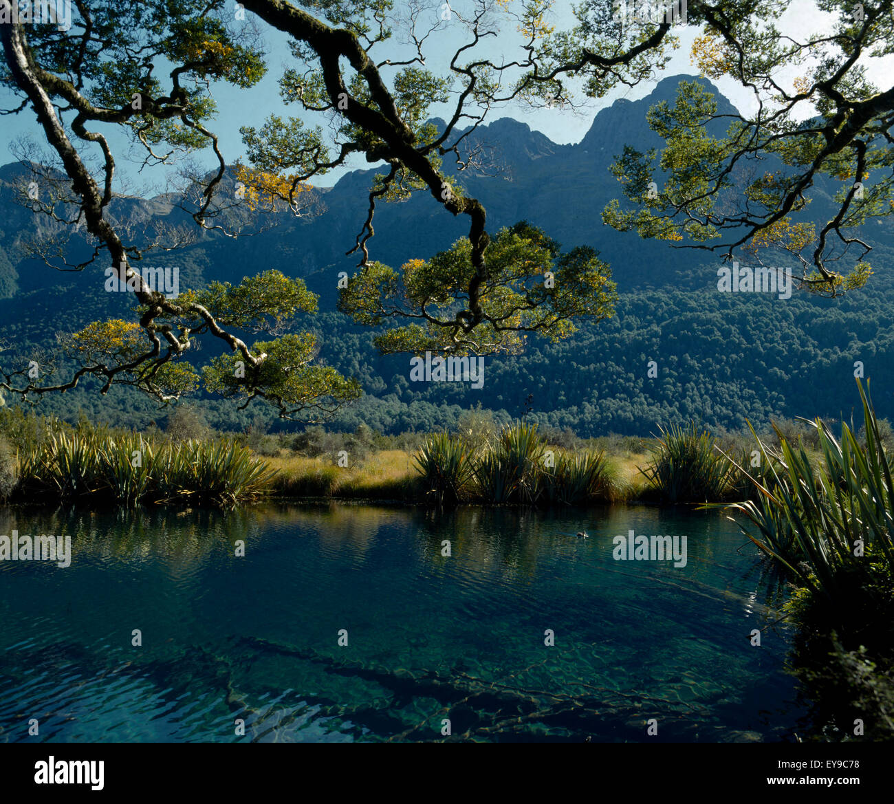 Eglinton Valley New Zealand Mirror Lakes Stock Photo
