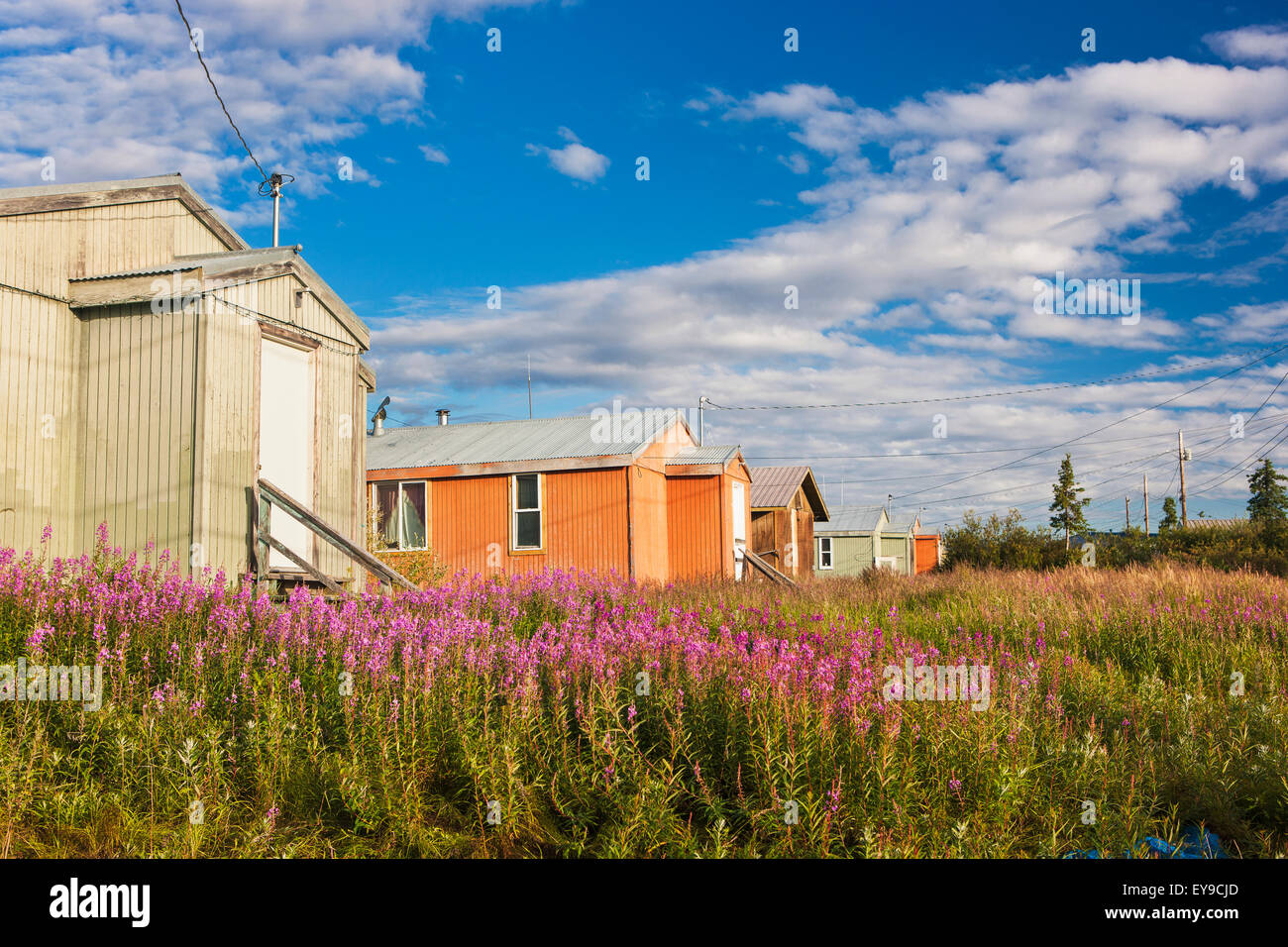 A row of houses among a Fireweed under a Partly Cloudy Sky, Noatak